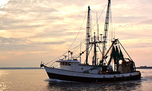 Commercial Fishing Boats - Hawthorne Cat