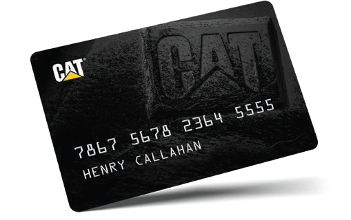 Cat Card Cat Card