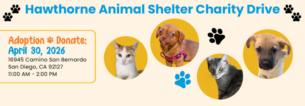 Hawthorne Cat Animal Shelter Charity Drive_2026_2000x700